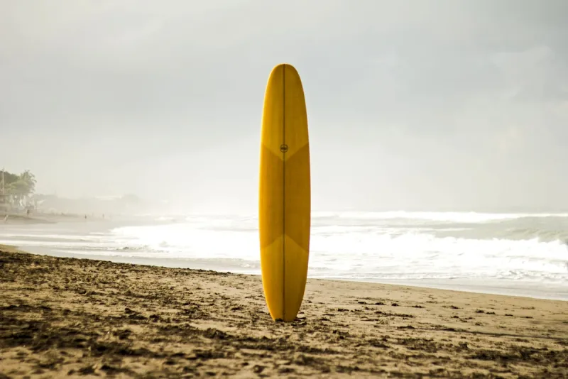 Surfboard Rental